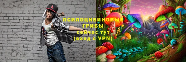 МДПВ Арсеньев