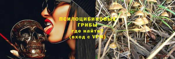 мяу мяу мука Армянск