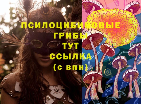 амфетамин Аркадак