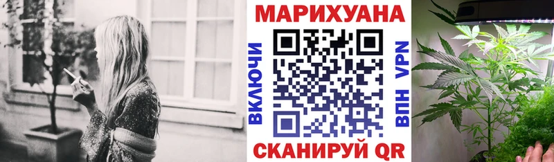 как найти закладки Ливны Бошки марихуана OG Kush